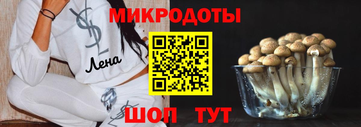 Чапаевск  Галлюциногенные грибы Magic Shrooms  купить   Псилоцибиновые грибы GOLDEN TEACHER  Вход с VPN 